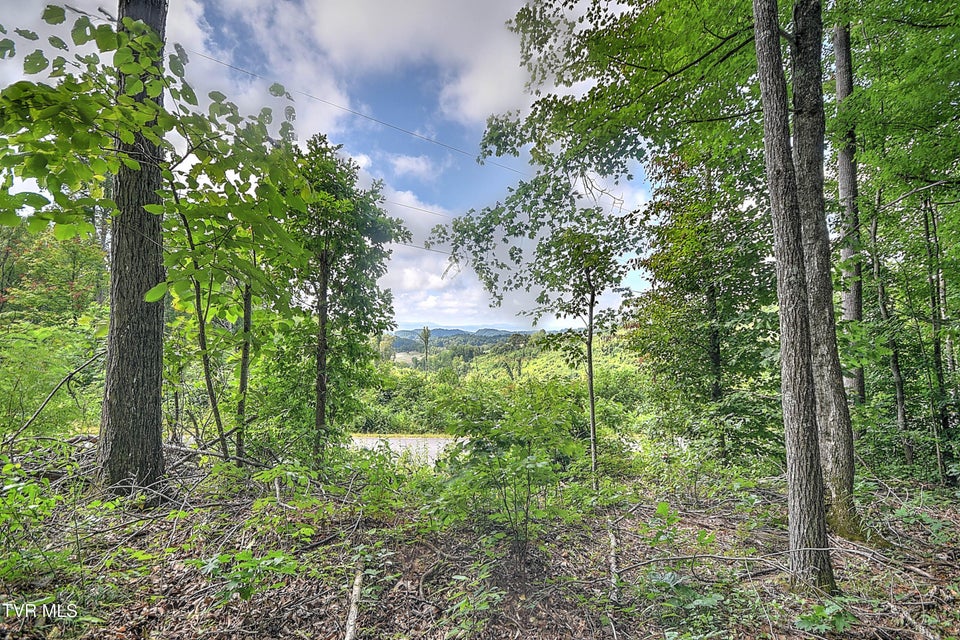 Photo #9: Tract 1l Payne Ridge Road