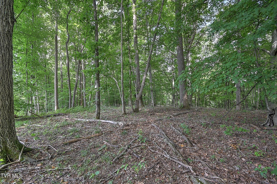 Photo #10: Tract 1l Payne Ridge Road