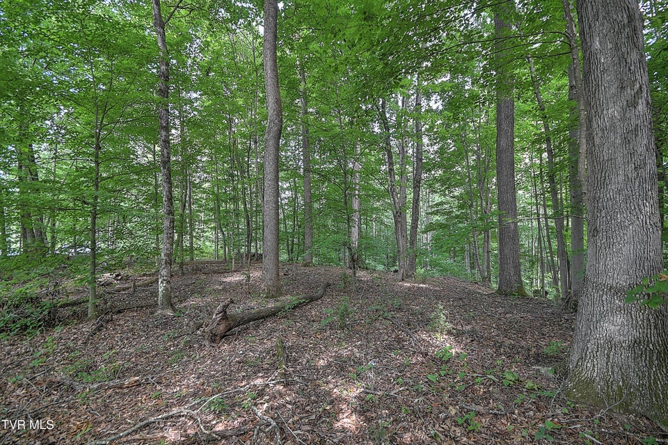 Photo #13: Tract 1l Payne Ridge Road