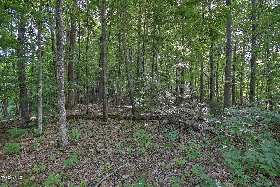 Photo #14: Tract 1l Payne Ridge Road