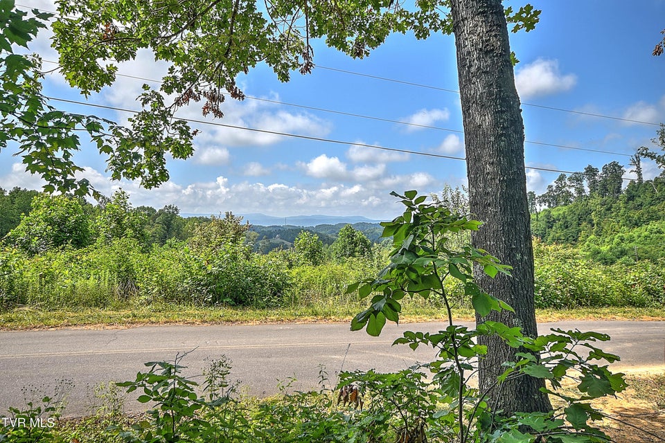 Photo #15: Tract 1l Payne Ridge Road