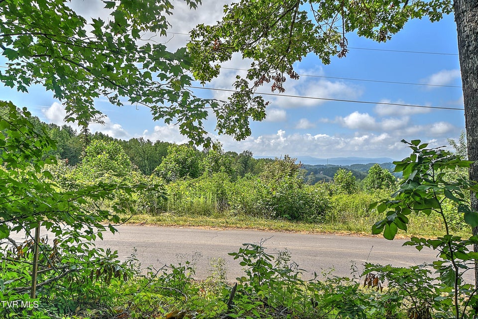Photo #16: Tract 1l Payne Ridge Road