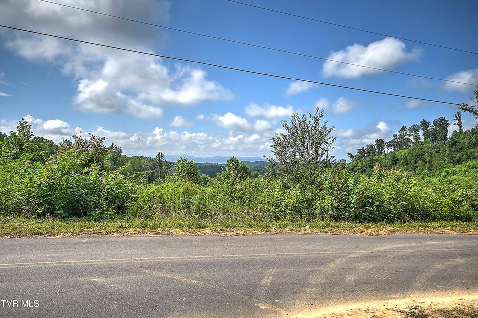 Photo #17: Tract 1l Payne Ridge Road
