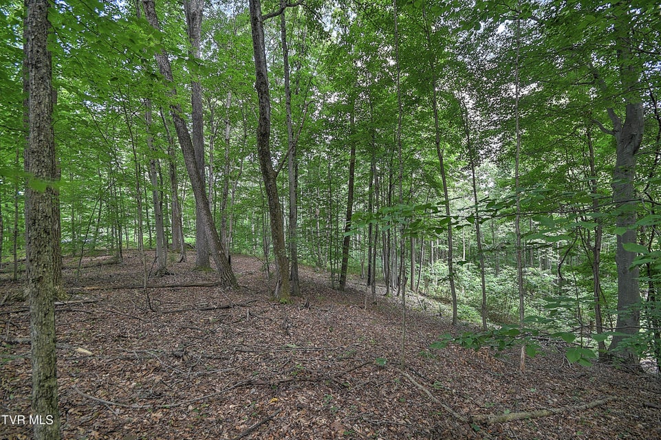 Photo #10: Tract 2r Payne Ridge Road