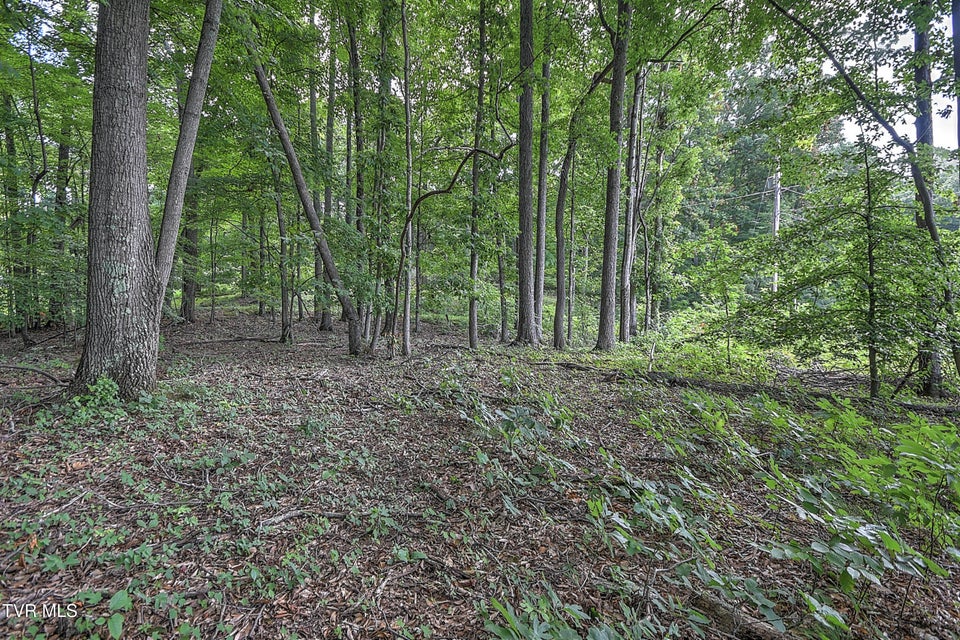 Photo #2: Tract 2r Payne Ridge Road
