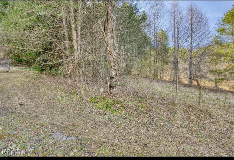 Photo #11: 638 Old Hwy 143