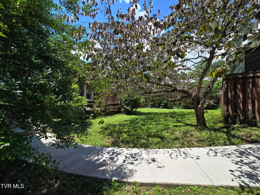 Photo #10: 113 2nd Street