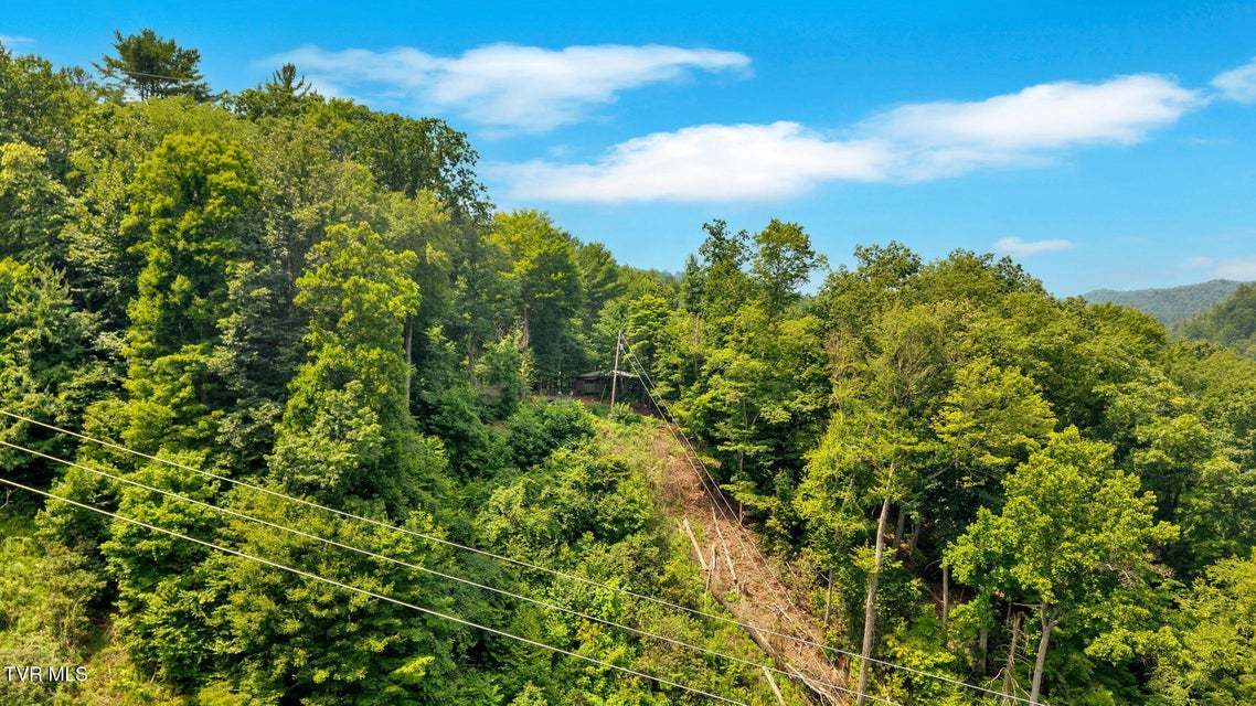 Photo #34: 5340 Highway 321