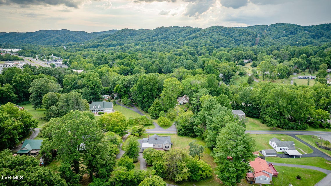 Photo #42: 1837 Holston Drive