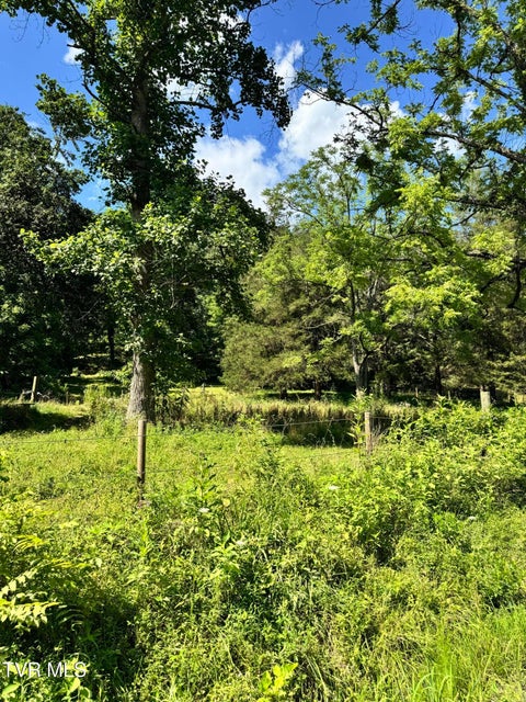 Photo #20: 5394 Snake Hollow Road