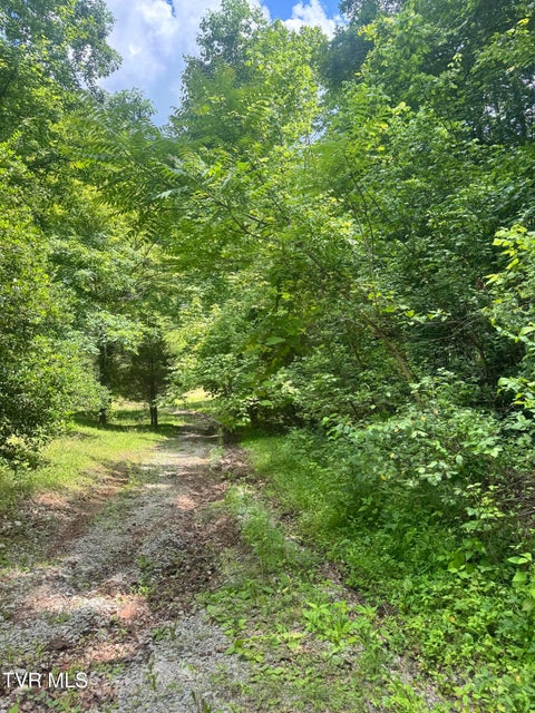 Photo #30: 5394 Snake Hollow Road