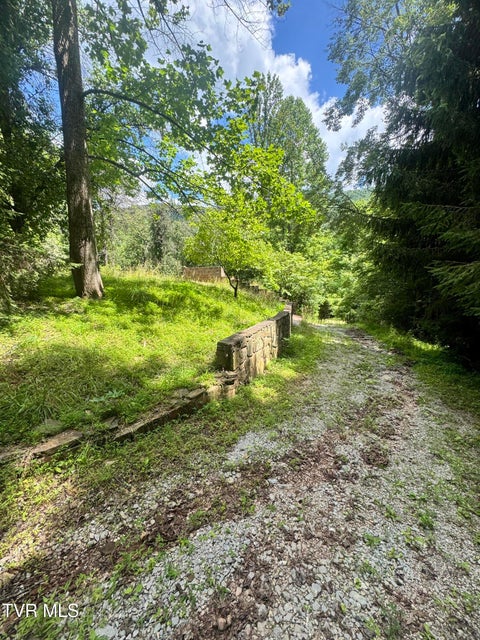 Photo #39: 5394 Snake Hollow Road