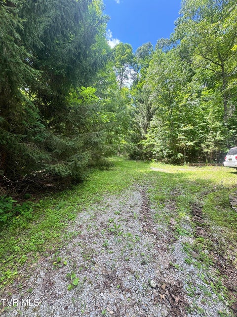 Photo #40: 5394 Snake Hollow Road