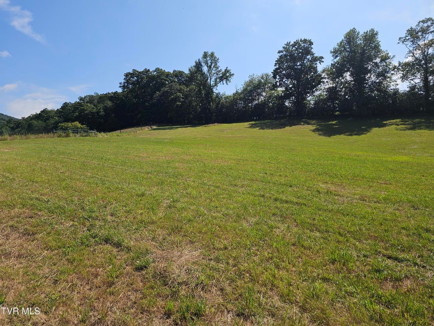 Photo #3: Tbd A P Carter Highway