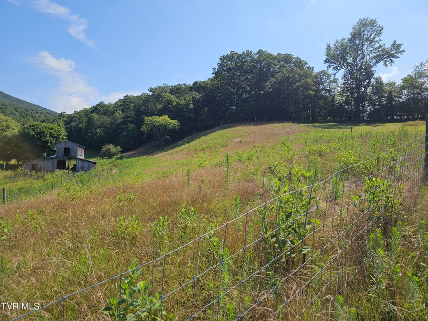 Photo #4: Tbd A P Carter Highway
