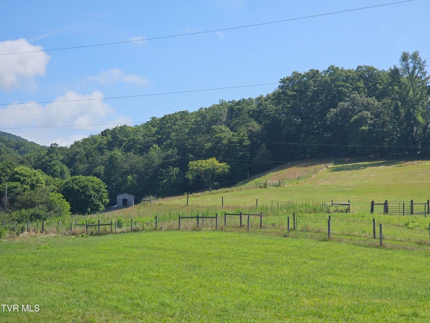 Photo #9: Tbd A P Carter Highway