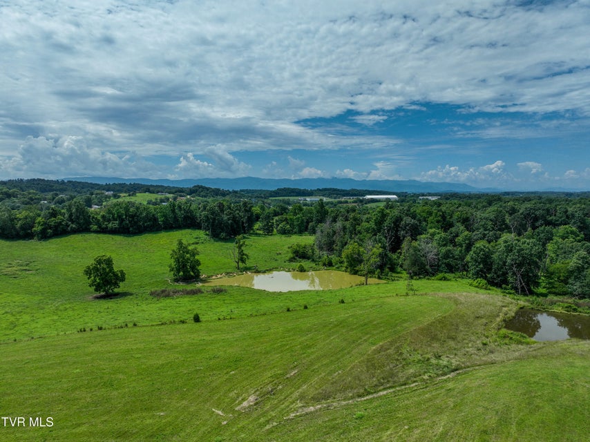 Photo #8: Tbd Leesburg Road