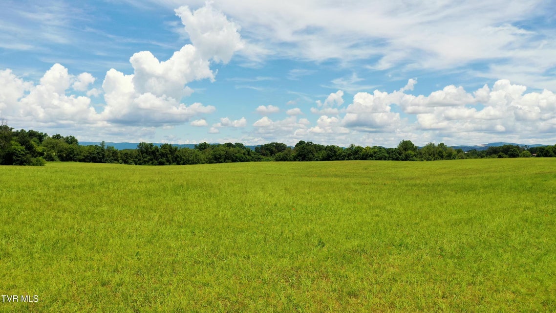 Photo #12: 5085 Old Kentucky Road