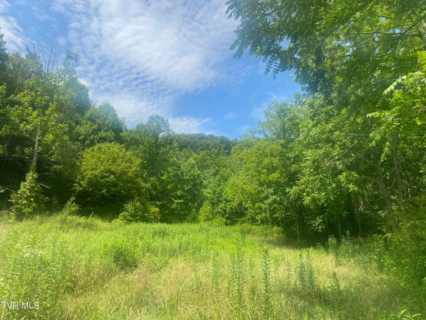 Photo #2: 638 Old Hwy 143