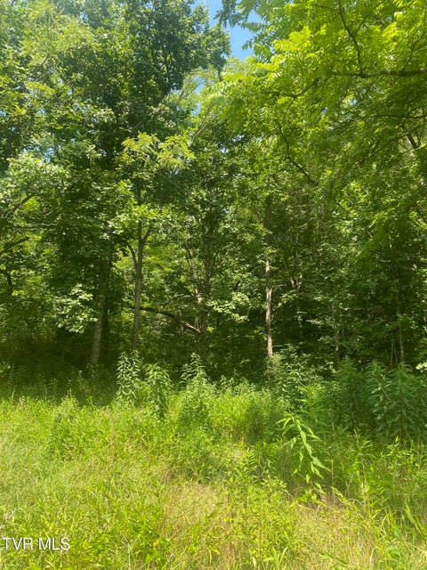 Photo #8: 638 Old Hwy 143