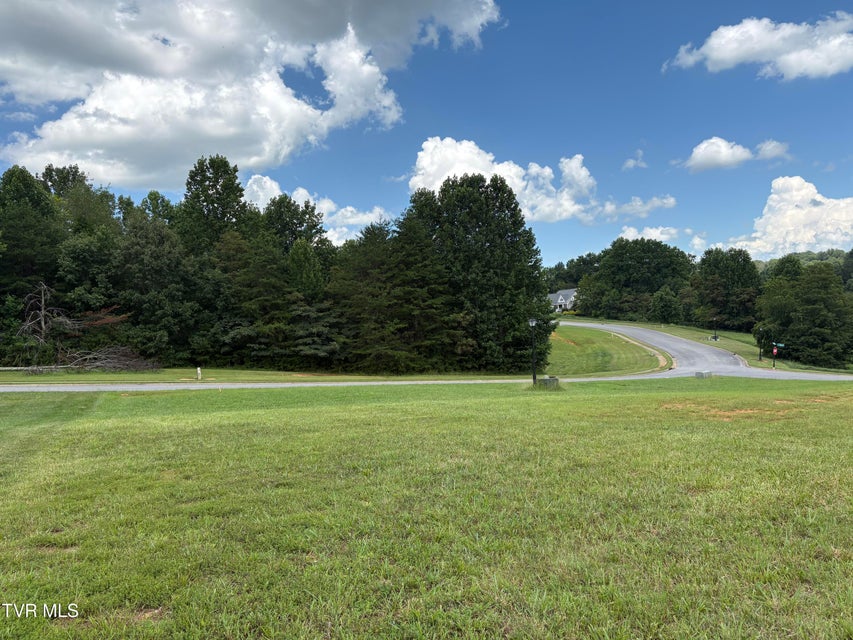 Photo #2: .92 Ac Bedford Circle