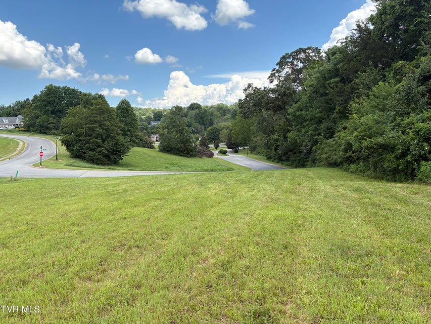 Photo #3: .92 Ac Bedford Circle
