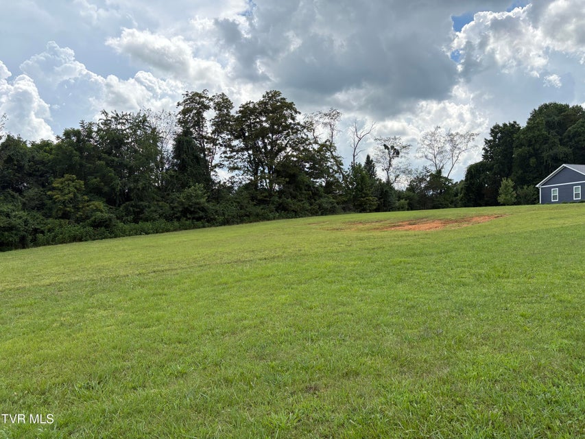Photo #5: .92 Ac Bedford Circle
