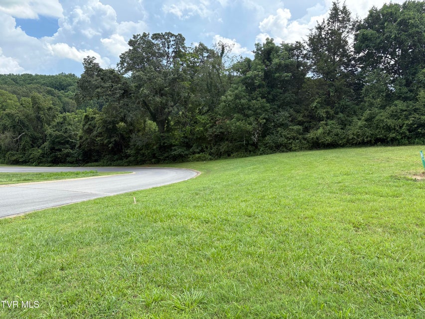 Photo #6: .92 Ac Bedford Circle