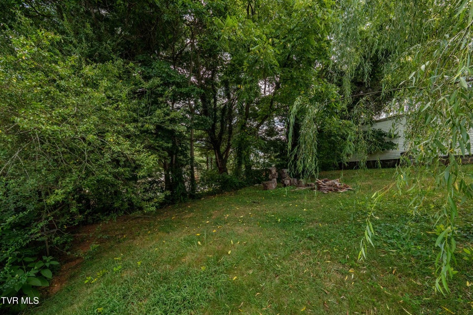 Photo #39: 13 Coffey Street Street