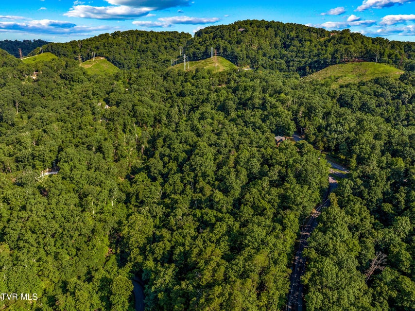 Photo #9: 1308 Muskogee Drive