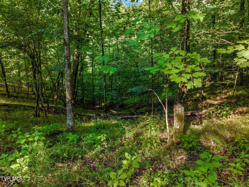 Photo #12: 1308 Muskogee Drive