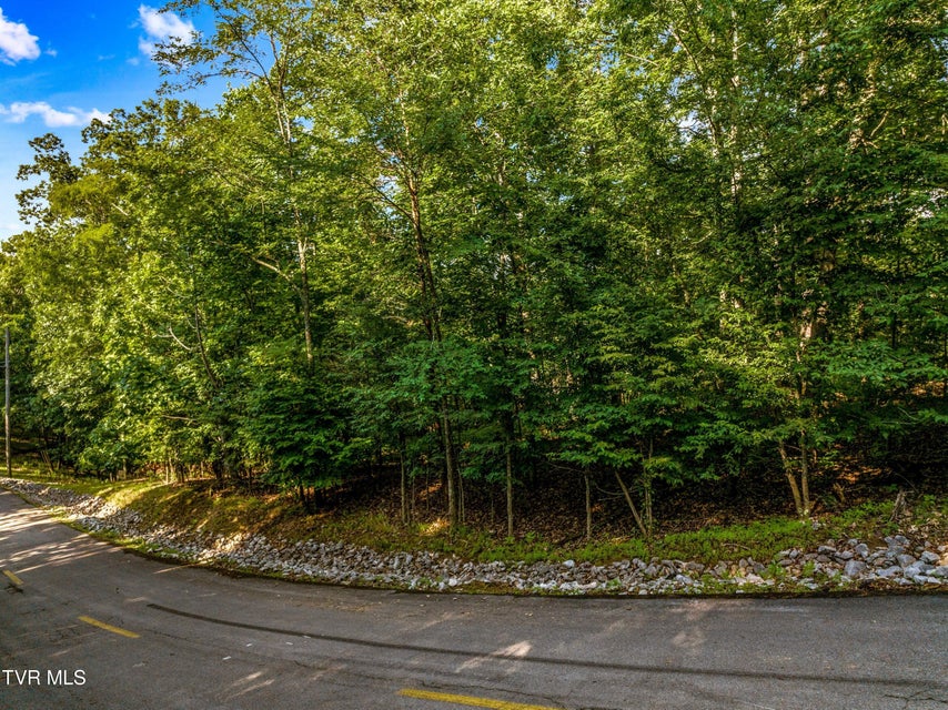 Photo #13: 1308 Muskogee Drive