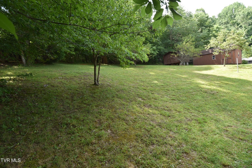 Photo #4: 127 Sewanee Road
