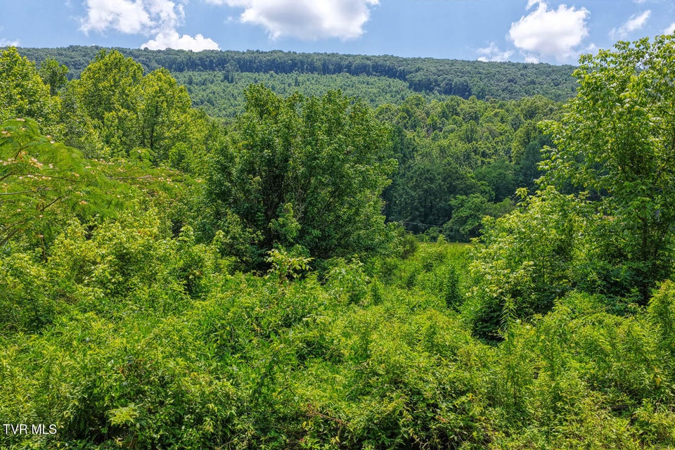 Photo #2: Tbd2 Beech Creek Road