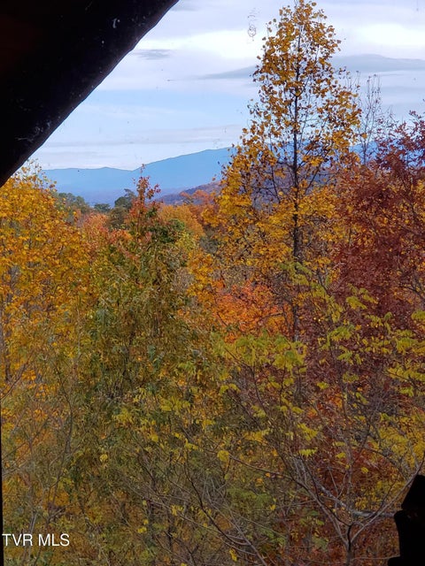 Photo #36: 2109 Quail Run Way