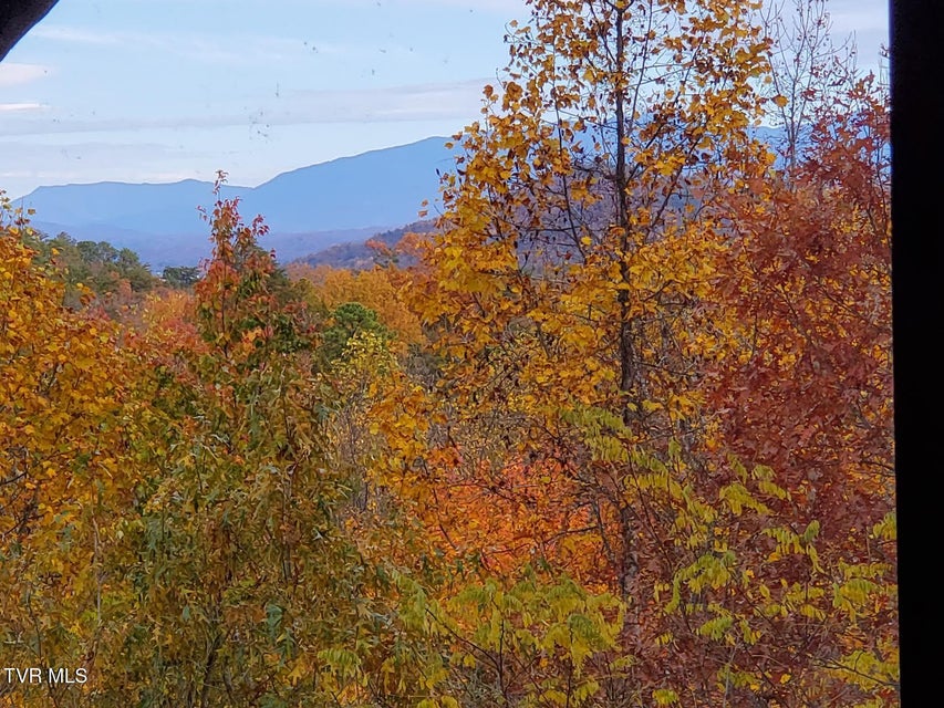 Photo #37: 2109 Quail Run Way