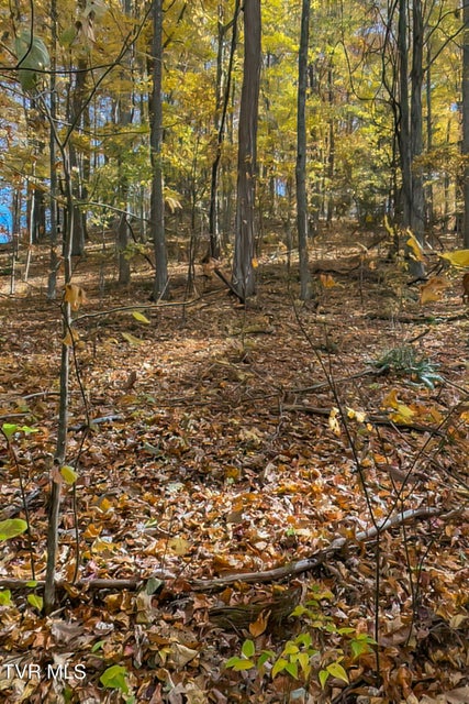 Photo #73: 134 Old Church Road