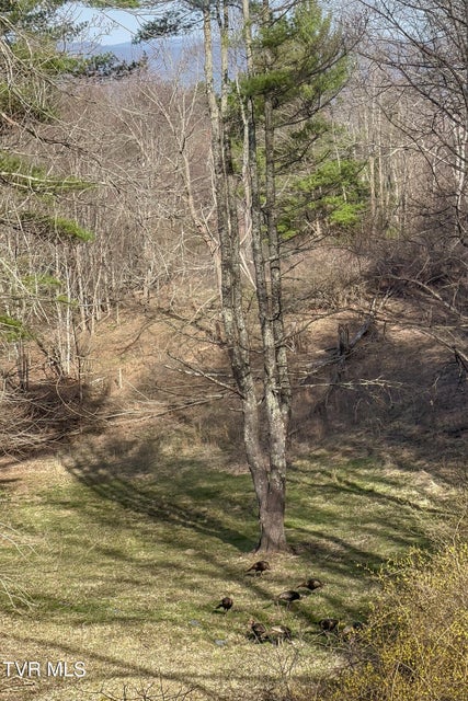 Photo #76: 134 Old Church Road