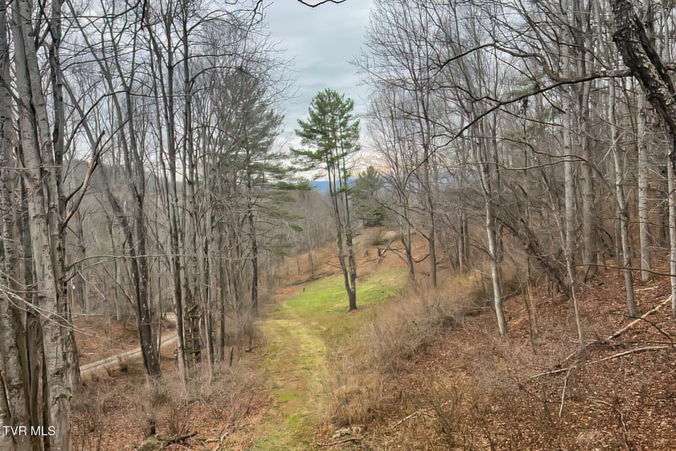 Photo #80: 134 Old Church Road