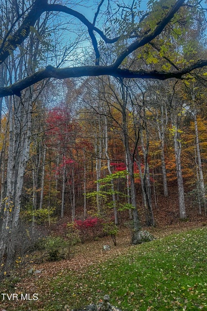 Photo #81: 134 Old Church Road