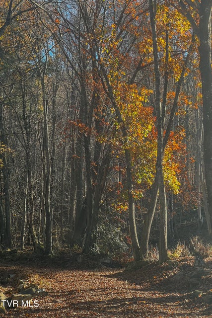Photo #84: 134 Old Church Road