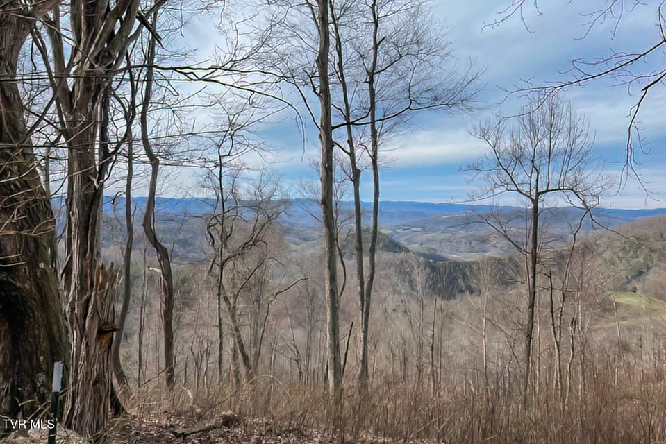 Photo #78: 134 Old Church Road