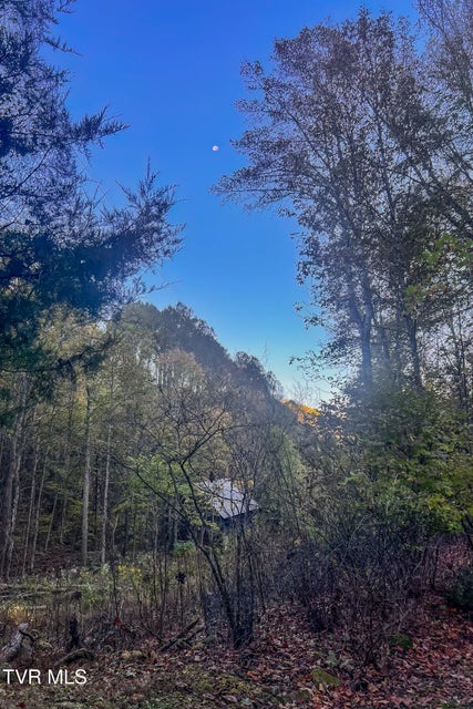 Photo #90: 134 Old Church Road