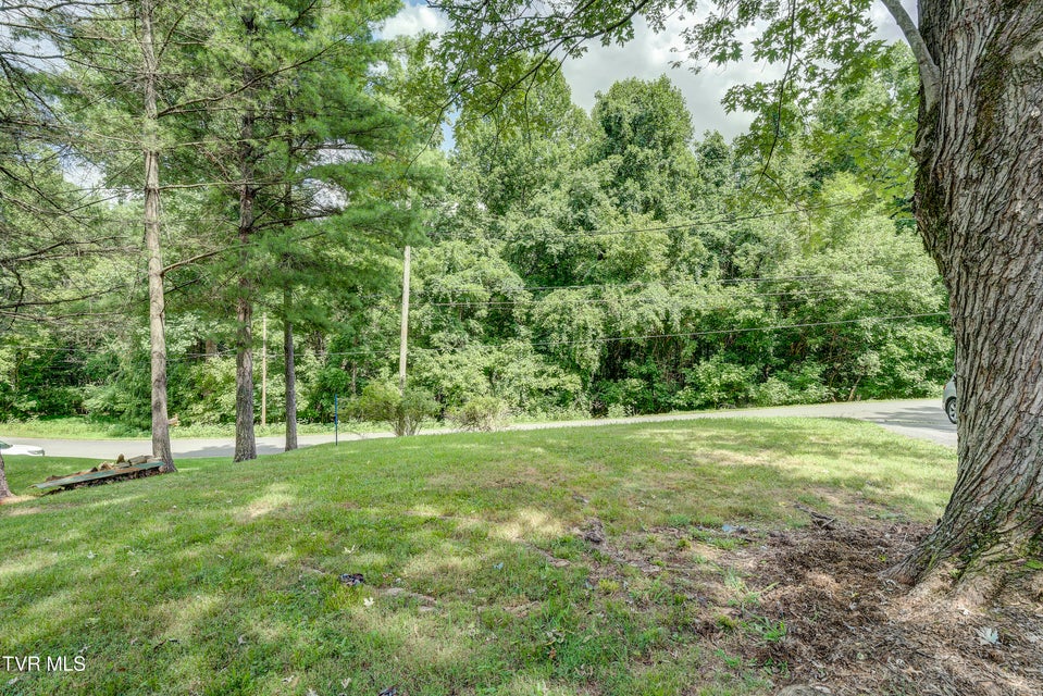 Photo #38: 119 Cleveland Road