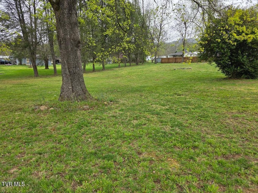 Photo #19: 214 Elliott Avenue