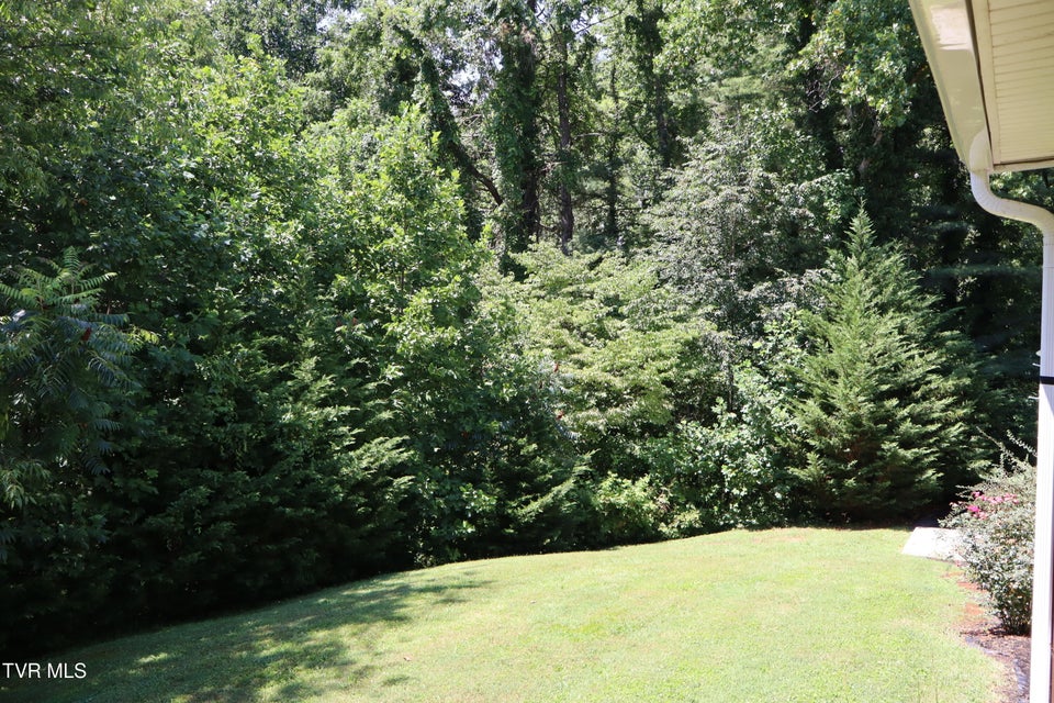 Photo #49: 103 Forest Drive