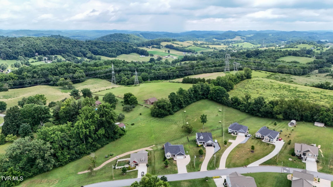 Photo #69: 2057 Poplar Ridge Court