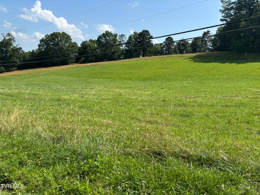 Photo #2: Tbd Locust Gap Road