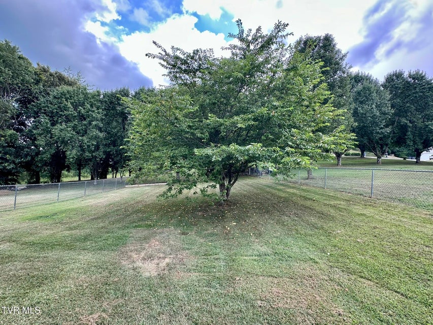 Photo #22: 228 Dumplin Valley Road