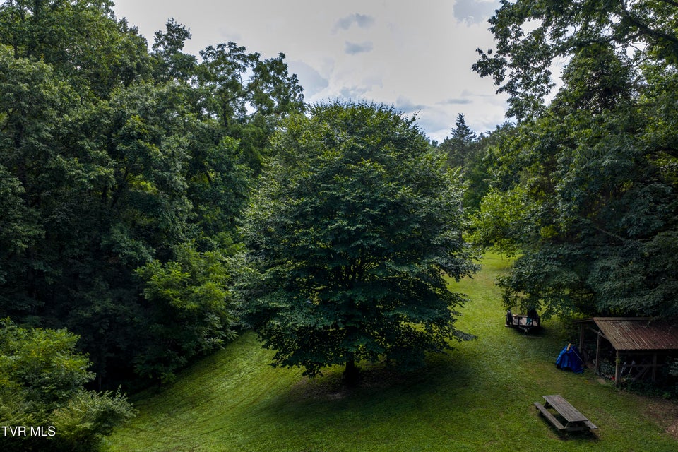 Photo #68: 115 Shadyrest Drive
